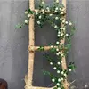 White rose vine (180 cm)