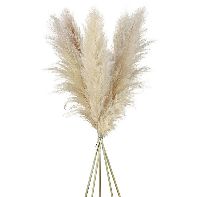 Wholesale large pampas grass 120 cm pompas fluffy plume dry white tall large wedding decor natural flowers dried pampas grass