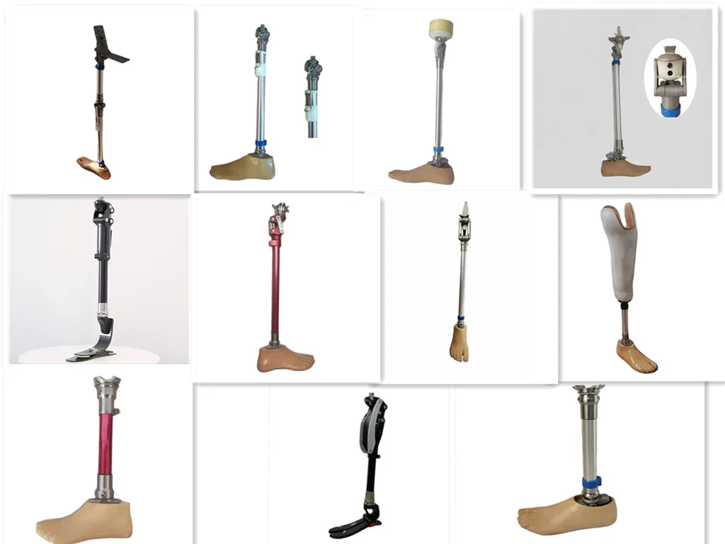 Prosthetic Lower Legs Made of Stainless Steel, Polyurethane, Aluminum, and Titanium Are Used for Amputees Below the Knee Joint