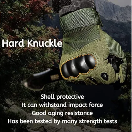2.JPG
