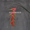 Oiseau de paradis suspendu