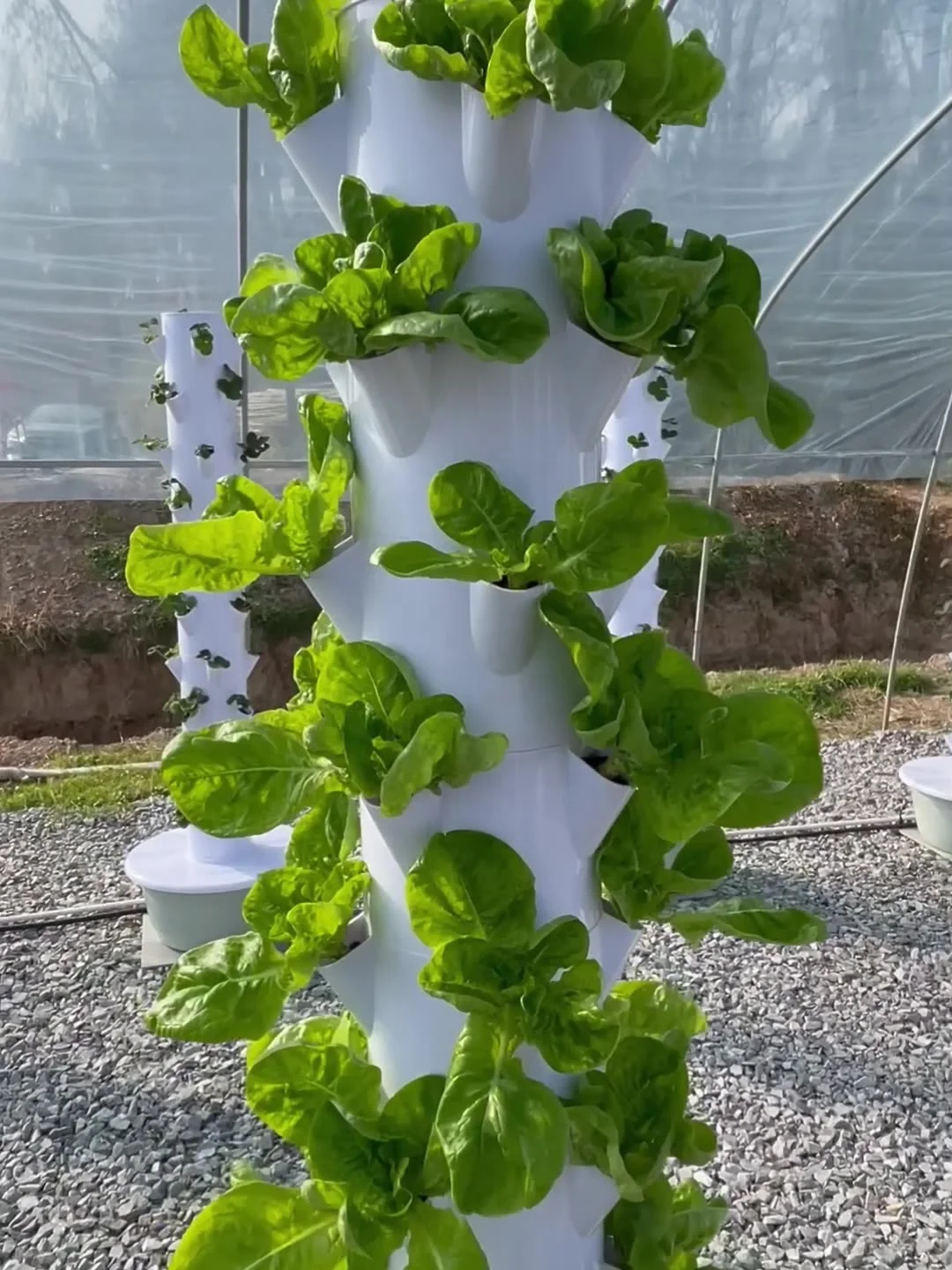 systemic insecticide for indoor plants Instant Plant Protection