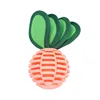 Pink Radish Head