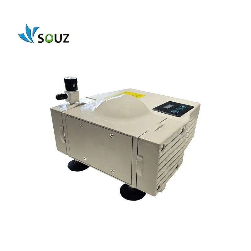 High Performance 2 Cube Meter 8mbar Negative Pressure 180W Oil Free Vacuum Pump DVP2 Diaphragm Vacuum Pump for Laboratory