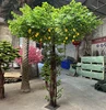 árbol de limón