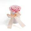Pink-mini