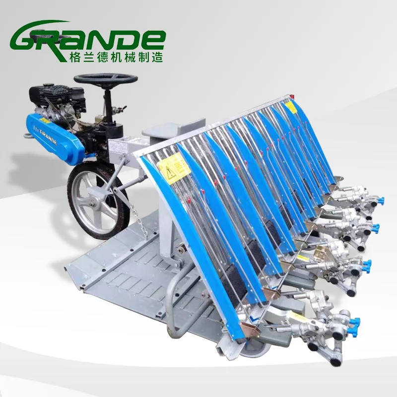 6 Row Riding on Walking Rice Transplanter Paddy Rice Planter Machine