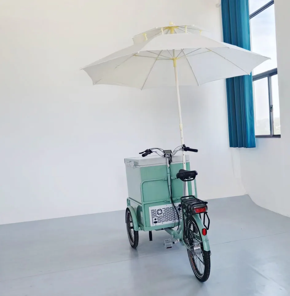 3 wheel ice cream bike electric tricycle for frozen food bike outdoor sale