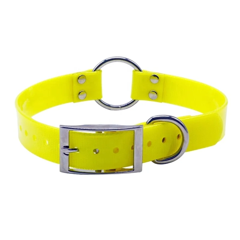 custom design dog collars