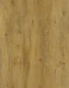 MO88113-4