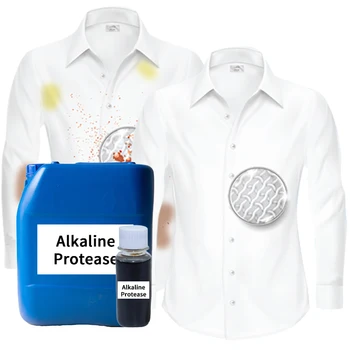 Free sample Bioactive enzyme liquid alkaline protease for washing CAS 9074-01-1 enzymes for detergent