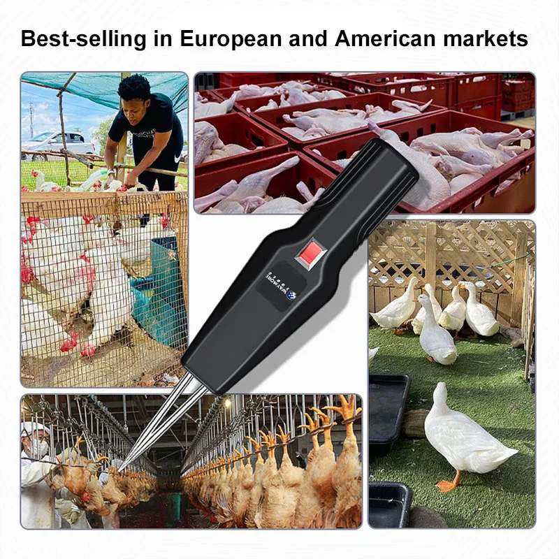 Desplumadora de pollo con Motor eléctrico de diseño negro recargable portátil, eliminación rápida de plumas a prueba de agua, Animal multifuncional