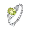 JH0073-4Olivine