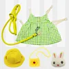 Green with Accessories