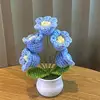blue 5 tulips