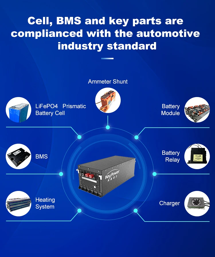 48v Lifepo4 Battery 100ah 105ah 135ah 230ah Lithium Ion Ip67 Electric