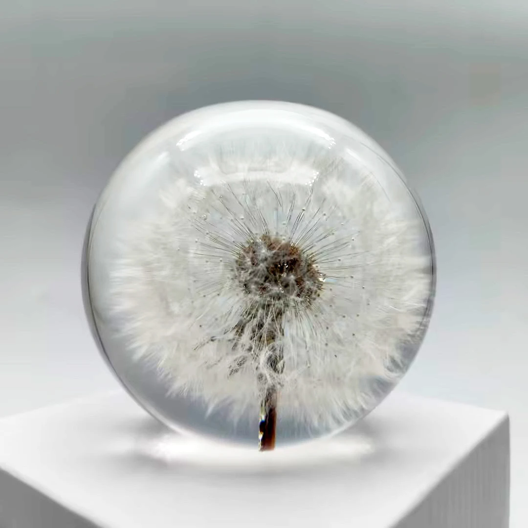 Custom Embedded Real Dandelion Resin Ball Epoxy Resin Craft Flower Decoration Plant Ornament Paperweight Glass Crystal Ball Gift