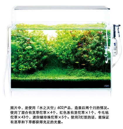 new ADA AQUASKY MOON 601 602 full spectrum color Smart Freshwater Planted  WRGB LED Aquarium Light 60cm for red grass from japan| Alibaba.com