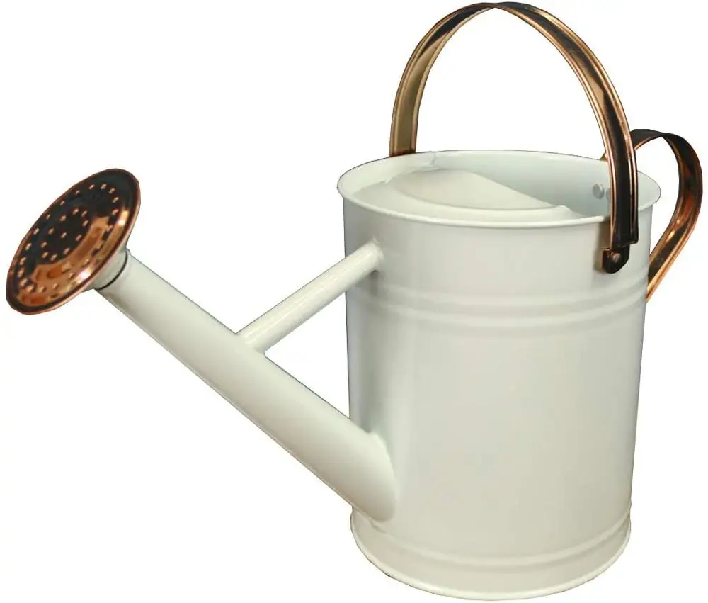 Сколько литров лейка. Galvanized Metal watering can, Zara Home ($26+).
