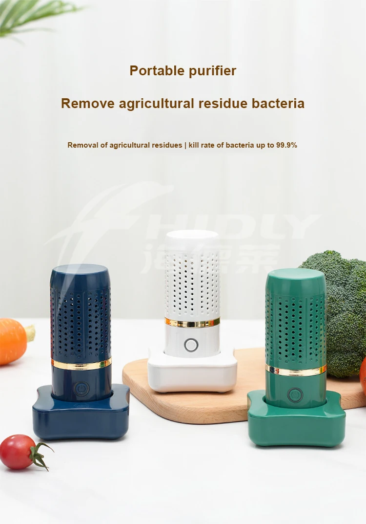 Wholesale Household Mini Multifunctional Fruit and Vegetable Meat Sterilizer Sterilization Machine