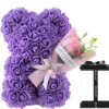 Viola