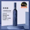 Flagship double nervure 24 nervures renfort-bleu profond