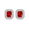 Earrings (red)
