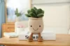 1 piante succulente