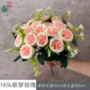 18 newly adorned roses, FY variety, pink-centered white.