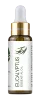 eucalyptus