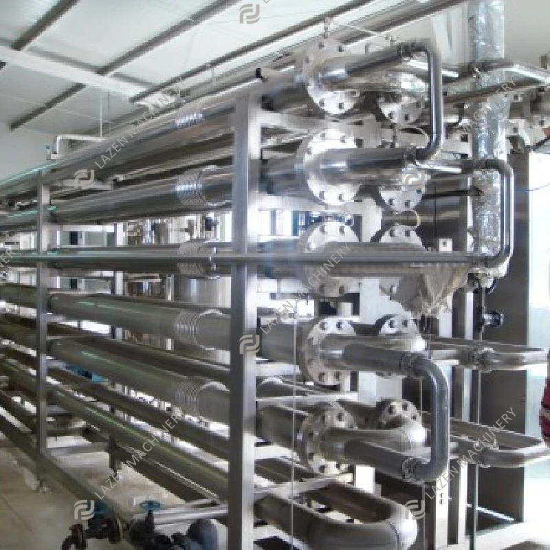 Turnkey Solution for Pumpkin Processing Line Production Plant