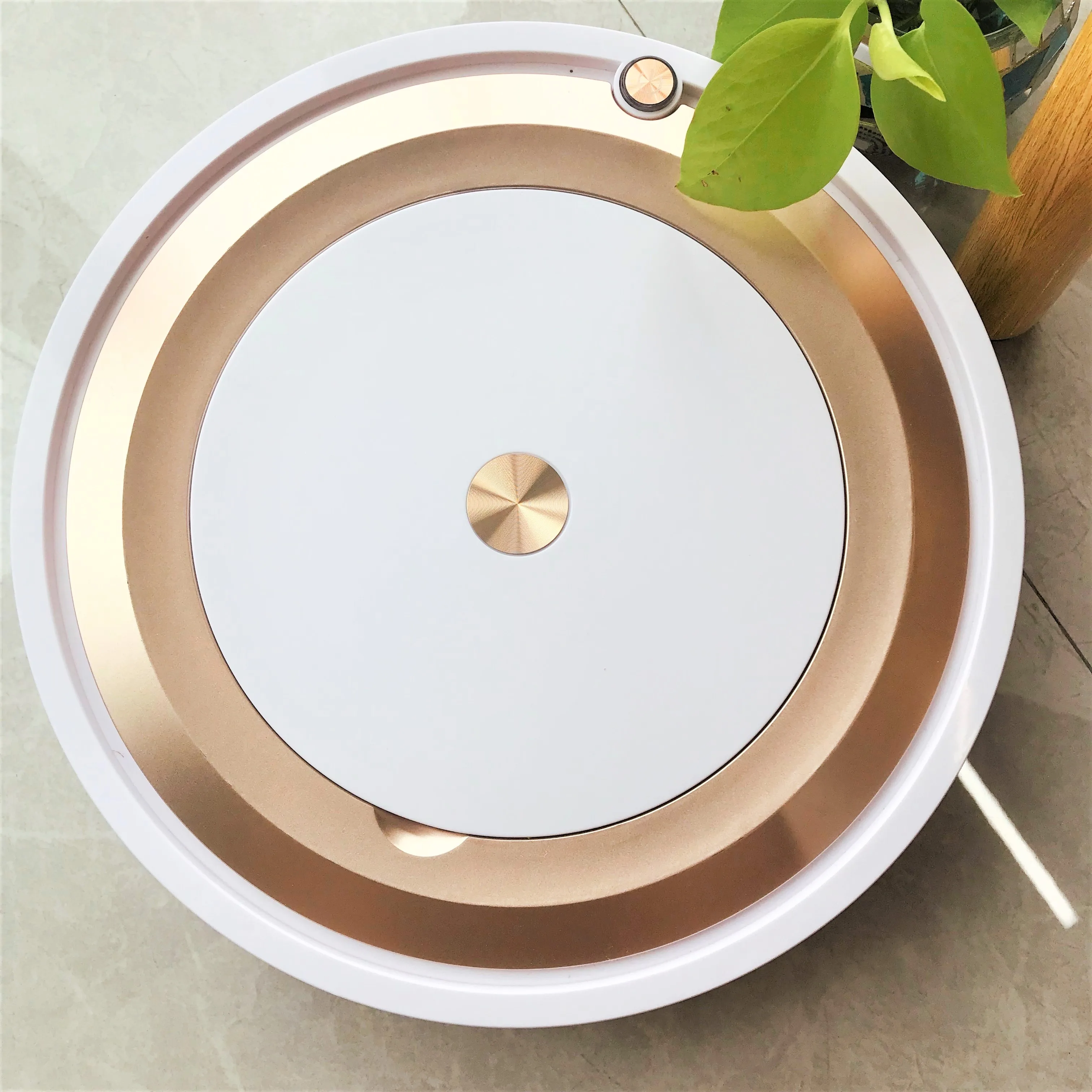 2022 IGRLACE ES29 Smart Floor Robotic Vacuum Cleaner Auto Intelligent Robot Vacuum Cleaner