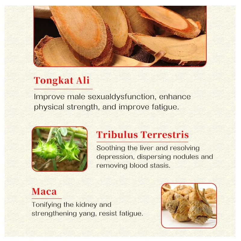 Private Label Tongkat ali Extract Tablets Organic Supplements Ashwagandha Maca Capsules Natural Men Energy Tongkat ali Capsules