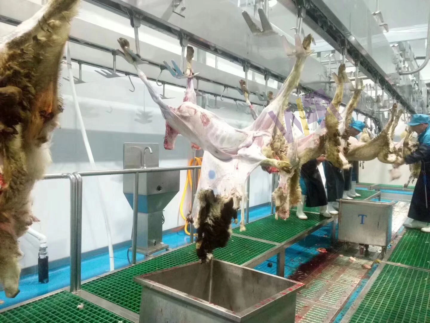 Halal Slaughter House Line Lamb Slaughtering With Mutton Meat Processing for Sheep Abattoir