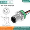 M12-D-4P male PG9