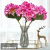 hortensia rosa única