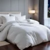 60*40 pure cotton sateen