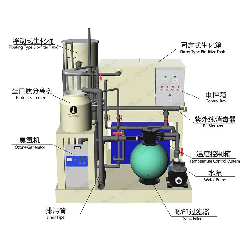 Advanced PP Material Drum Bio Filter Recirculating Aquaculture System ...