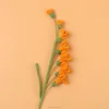 Arancione