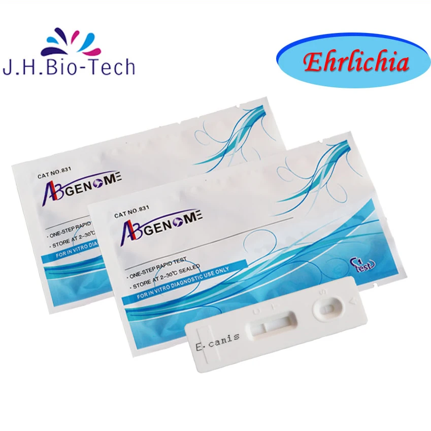 Oem Odm Ehrlichia E Canis Ab Test Canine Animal Professional Factory Buy Ehrlichia E Canis Ehrlichia Test Product On Alibaba Com