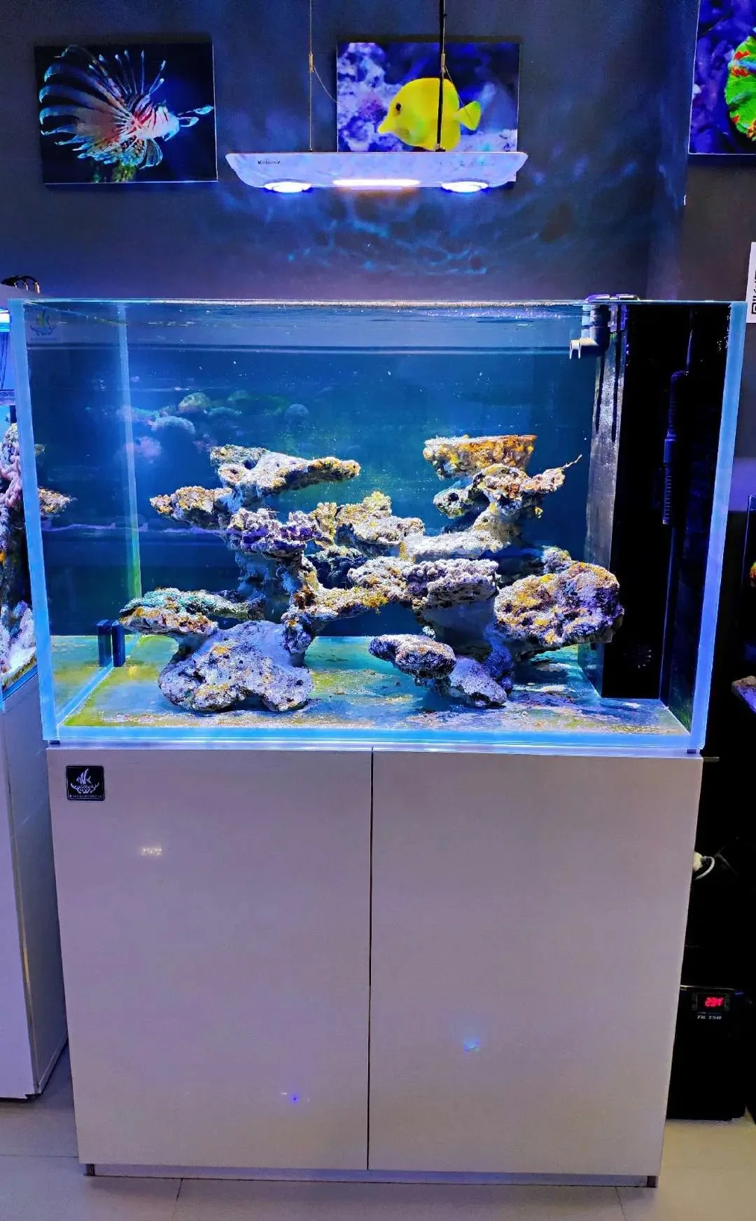 custom fish tank accessories Mechpia 13 Pieces Aquarium Decorations Kit, Decorations Set Small Resin Castle and Rockery Betta Fish Cave Hideout Coral Artificial Plastic Acrylic Aquariums Custom Made Aquarium