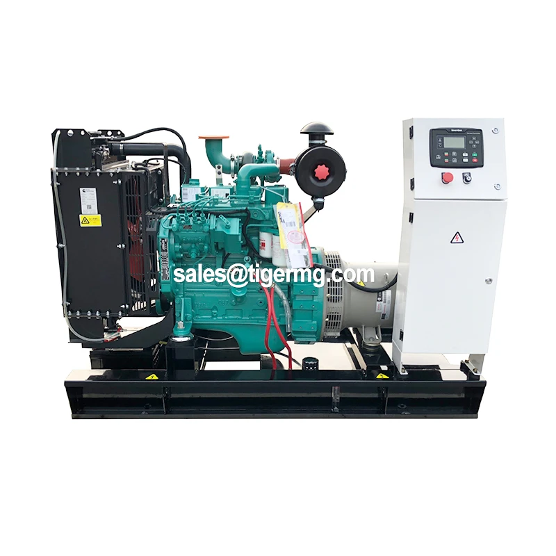 With Cummins Ricardo Engine 20kw 22kva 25kva 30kva 40kva 50kva 30kw Diesel Generator Set 40kw 50kw Diesel Electric Generator