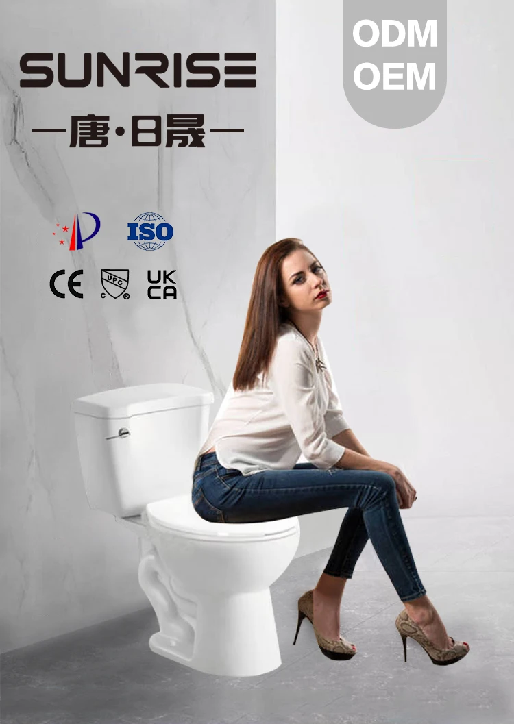 Modern American Standard Floor Mounted S Trap Water Closet Bathroom