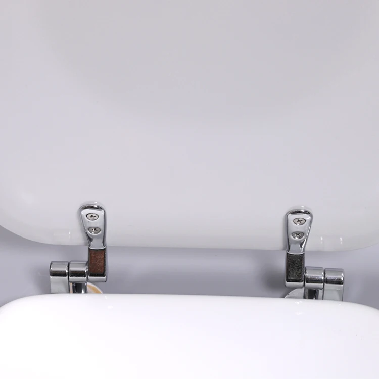 Bofan 18inch Portable Modern Design Hospital Washroom Wall Hung One Piece Wood Toilet Seat with Bidet Function 2-Year Warranty