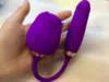 viola