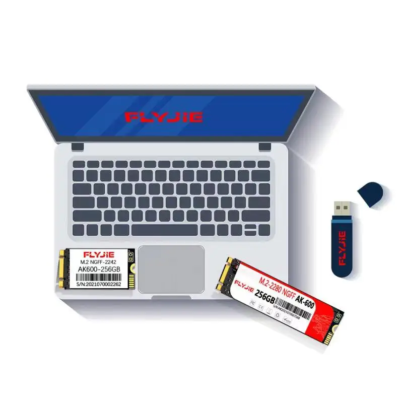 Flyjie Memory Ghost Ssd 128gb M2 2242 256GB 512GB 1TB for Laptop Components