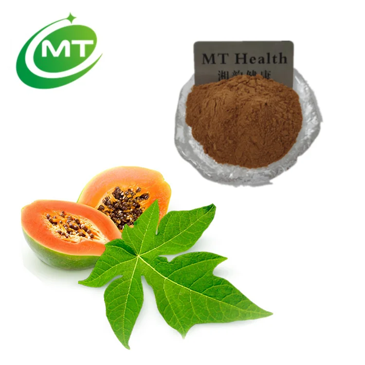 Top Quality Carica Papaya Leaf Extract Organic Papaya Seed Extract