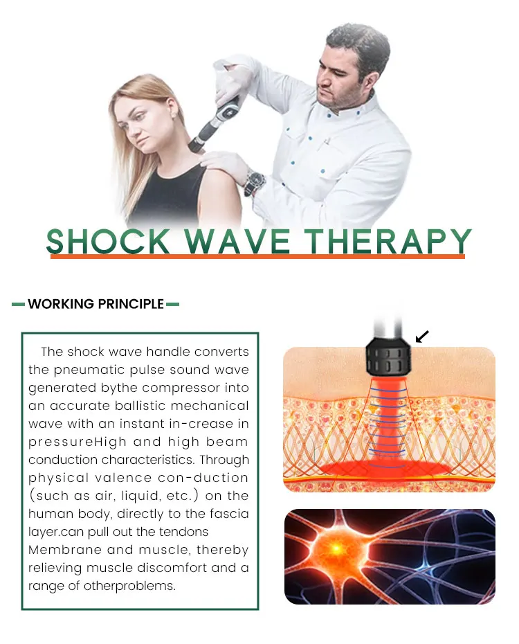 Shock Wave Therapy Physiotherapy Equipment Magnetotherapy for