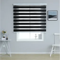 Blinds for Window Dual Layer Roller Zebra Sheer Shades Light Filtering Window Treatments Privacy Zebra Blinds for Day and  night