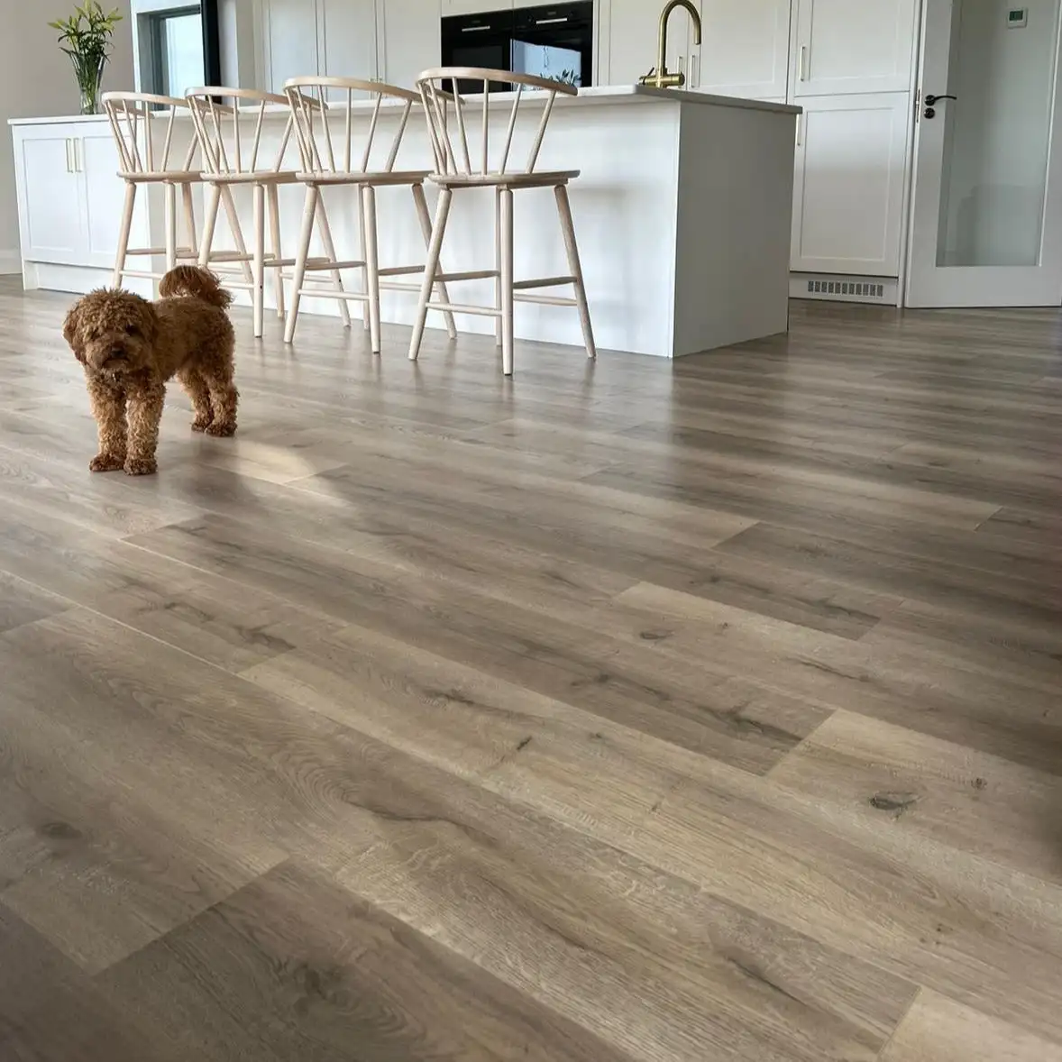 Spc Floor Factory Import and Export Quality Hotel Plastic Flooring Spc Vinyl Flooring 8mm
